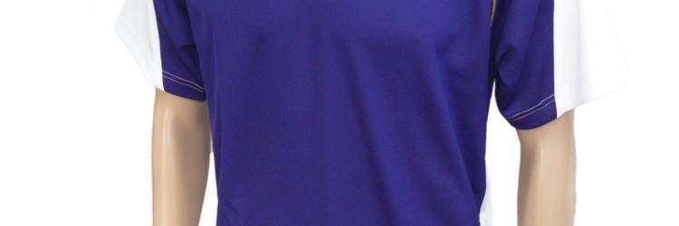 セカンドシャツ Tネック MTS-505 ロイヤルブルー